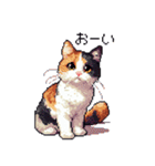 ドット絵 三毛猫 猫 日常会話 40種（個別スタンプ：20）