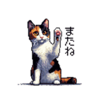 ドット絵 三毛猫 猫 日常会話 40種（個別スタンプ：21）