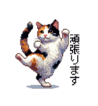 ドット絵 三毛猫 猫 日常会話 40種（個別スタンプ：23）