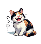 ドット絵 三毛猫 猫 日常会話 40種（個別スタンプ：25）