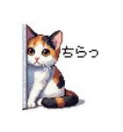 ドット絵 三毛猫 猫 日常会話 40種（個別スタンプ：29）