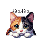 ドット絵 三毛猫 猫 日常会話 40種（個別スタンプ：30）