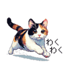 ドット絵 三毛猫 猫 日常会話 40種（個別スタンプ：31）