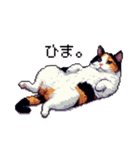 ドット絵 三毛猫 猫 日常会話 40種（個別スタンプ：39）