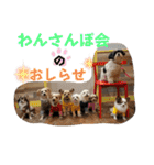 わんさんぽスタンプ（個別スタンプ：1）