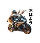 【毎日使える】バイクに乗る猫の返信（個別スタンプ：2）