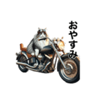 【毎日使える】バイクに乗る猫の返信（個別スタンプ：4）