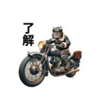 【毎日使える】バイクに乗る猫の返信（個別スタンプ：11）