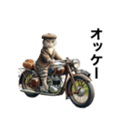 【毎日使える】バイクに乗る猫の返信（個別スタンプ：12）