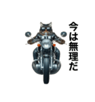 【毎日使える】バイクに乗る猫の返信（個別スタンプ：13）