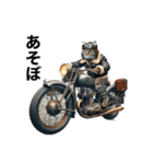 【毎日使える】バイクに乗る猫の返信（個別スタンプ：15）