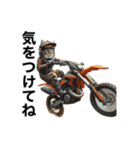 【毎日使える】バイクに乗る猫の返信（個別スタンプ：16）