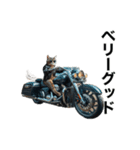 【毎日使える】バイクに乗る猫の返信（個別スタンプ：17）