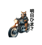 【毎日使える】バイクに乗る猫の返信（個別スタンプ：20）