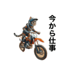 【毎日使える】バイクに乗る猫の返信（個別スタンプ：24）