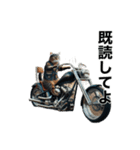 【毎日使える】バイクに乗る猫の返信（個別スタンプ：29）