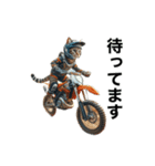 【毎日使える】バイクに乗る猫の返信（個別スタンプ：30）