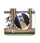 みー様の挨拶（個別スタンプ：1）