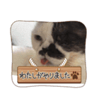 みー様の挨拶（個別スタンプ：2）
