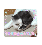 みー様の挨拶（個別スタンプ：7）