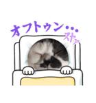 みー様の挨拶（個別スタンプ：10）