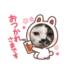 みー様の挨拶（個別スタンプ：12）