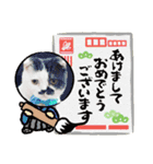みー様の挨拶（個別スタンプ：13）