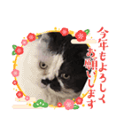 みー様の挨拶（個別スタンプ：14）
