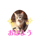 ねこカワ♡スタンプ2（個別スタンプ：5）