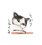 ひにっくねこ（個別スタンプ：4）