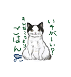 ひにっくねこ（個別スタンプ：5）