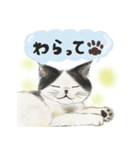 ひにっくねこ（個別スタンプ：8）