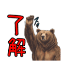 日常でいつでも使えるクマのスタンプ（個別スタンプ：1）