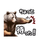 日常でいつでも使えるクマのスタンプ（個別スタンプ：13）