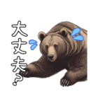 日常でいつでも使えるクマのスタンプ（個別スタンプ：23）