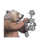 日常でいつでも使えるクマのスタンプ（個別スタンプ：28）