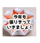 2024年お正月スペシャル 折り紙シリーズ（個別スタンプ：13）