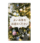 お花で伝えるBIG年末年始のメッセージ2024（個別スタンプ：2）