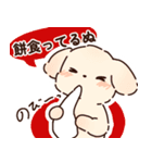 クリスマスと年末年始だぬ（個別スタンプ：9）