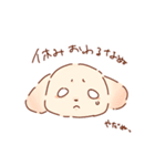 クリスマスと年末年始だぬ（個別スタンプ：19）