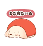 クリスマスと年末年始だぬ（個別スタンプ：20）
