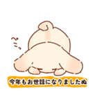 クリスマスと年末年始だぬ（個別スタンプ：24）