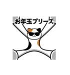 動く！グラサンキャット＠お正月/年末年始（個別スタンプ：11）