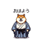 ドット絵 新年を祝う 太っちょ柴犬（個別スタンプ：25）