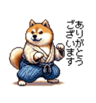 ドット絵 新年を祝う 太っちょ柴犬（個別スタンプ：29）