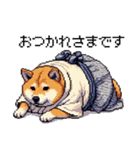 ドット絵 新年を祝う 太っちょ柴犬（個別スタンプ：30）