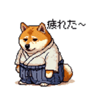 ドット絵 新年を祝う 太っちょ柴犬（個別スタンプ：33）