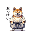 ドット絵 新年を祝う 太っちょ柴犬（個別スタンプ：34）