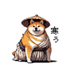 ドット絵 新年を祝う 太っちょ柴犬（個別スタンプ：36）