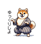 ドット絵 新年を祝う 太っちょ柴犬（個別スタンプ：40）